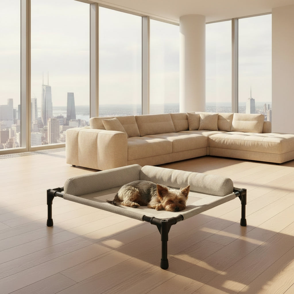 The d is sleepeing og  on a elevated pet bed in a room with wooden flooring and a staircase.
