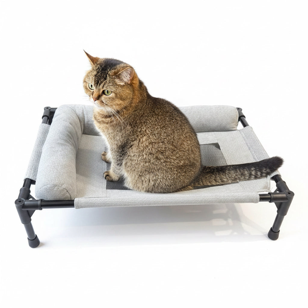 Cat sitting on a pet bed 