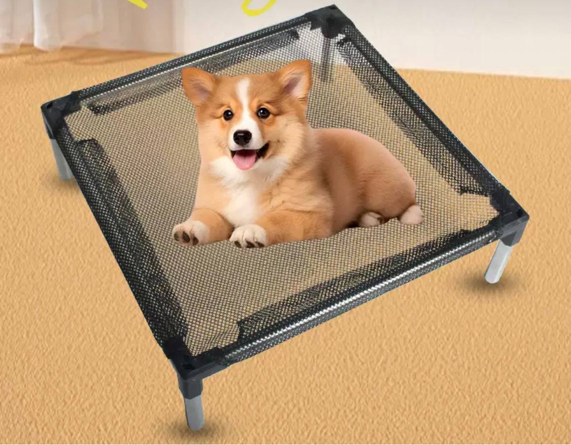 Dog lying on a black mesh pet bed with white legs on a beige floor.
