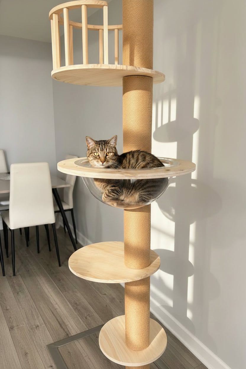 Marggo Floor-to-Ceiling Cat Tree with Acrylic Bubble Bed & Modern Wooden Perches
