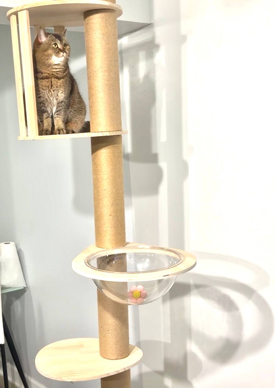 Marggo Floor-to-Ceiling Cat Tree with Acrylic Bubble Bed & Modern Wooden Perches